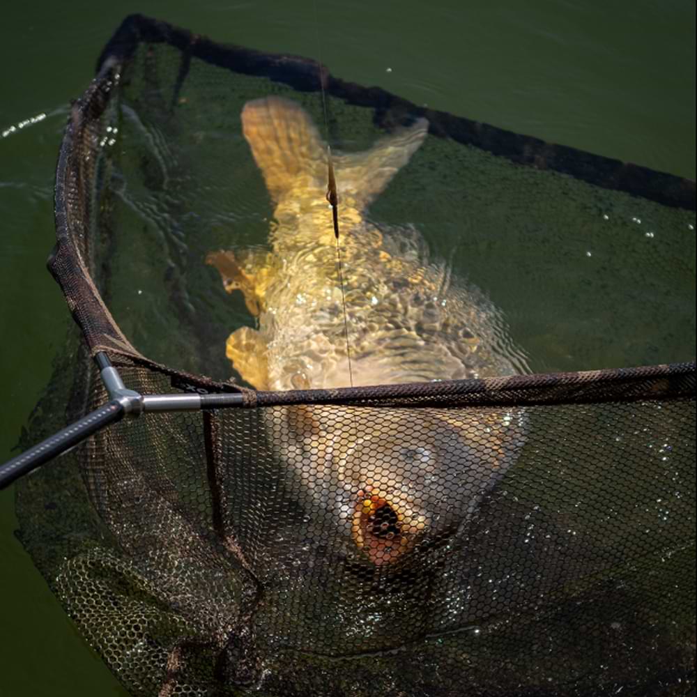 FOX Horizon X4-S 42" Explorer Landing Net