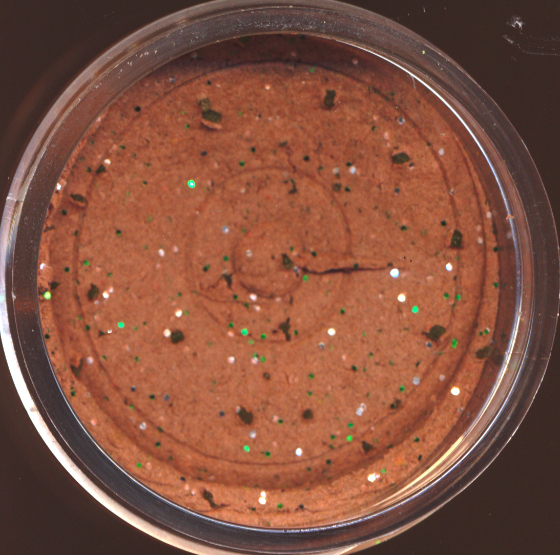 FTM Trout Finder Bait - Trout Pellet Floating