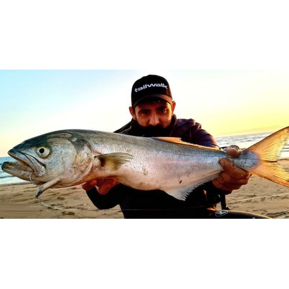 FIIISH Black Eel No2 - 11cm