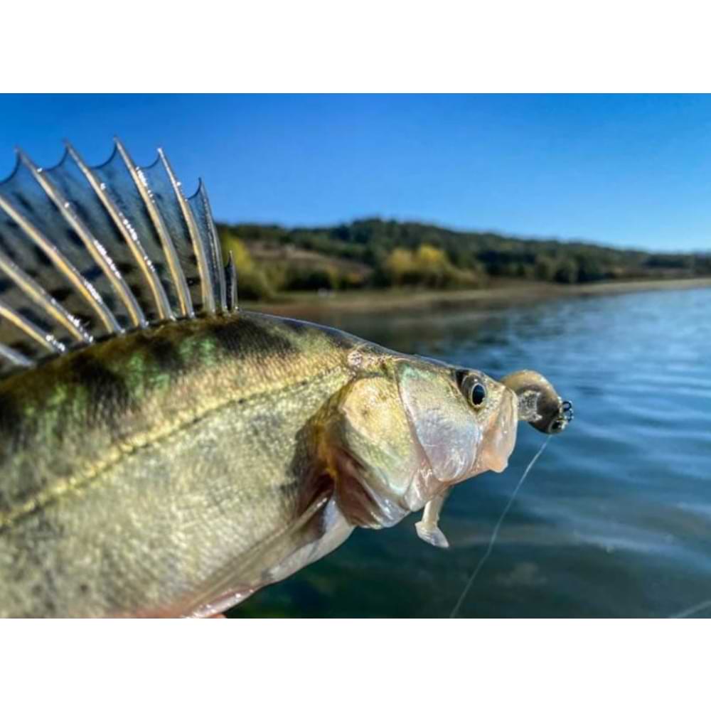 FIIISH Black Minnow No1 Combo Jig Head 3g + 2 Lure Bodies 7cm