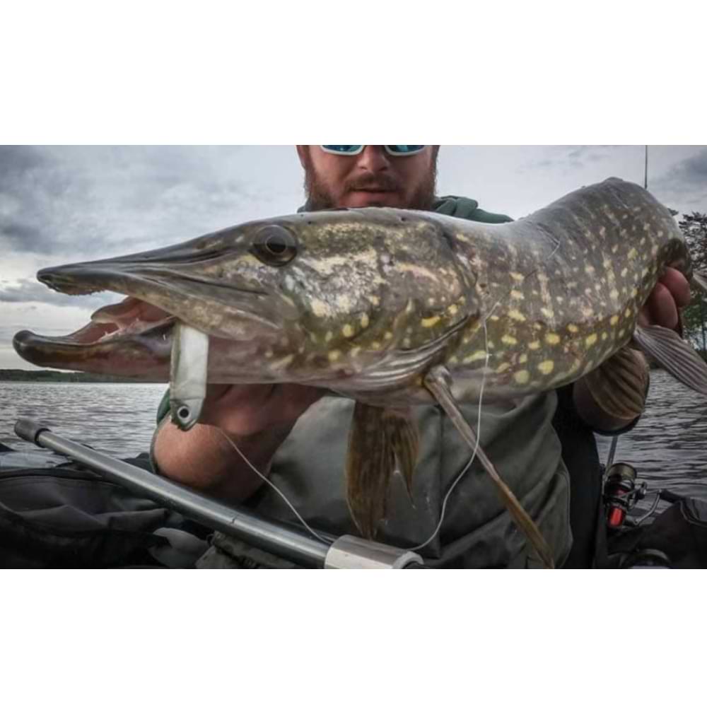 FIIISH Black Minnow No2 Double Combo 2 Jig Heads 10g - 2 Lure Bodies