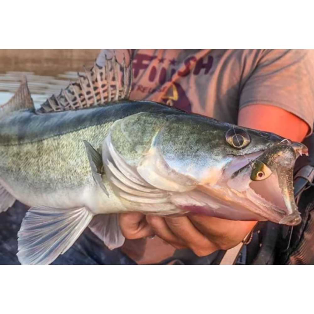 FIIISH Black Minnow No2 Double Combo 2 Jig Heads 10g - 2 Lure Bodies