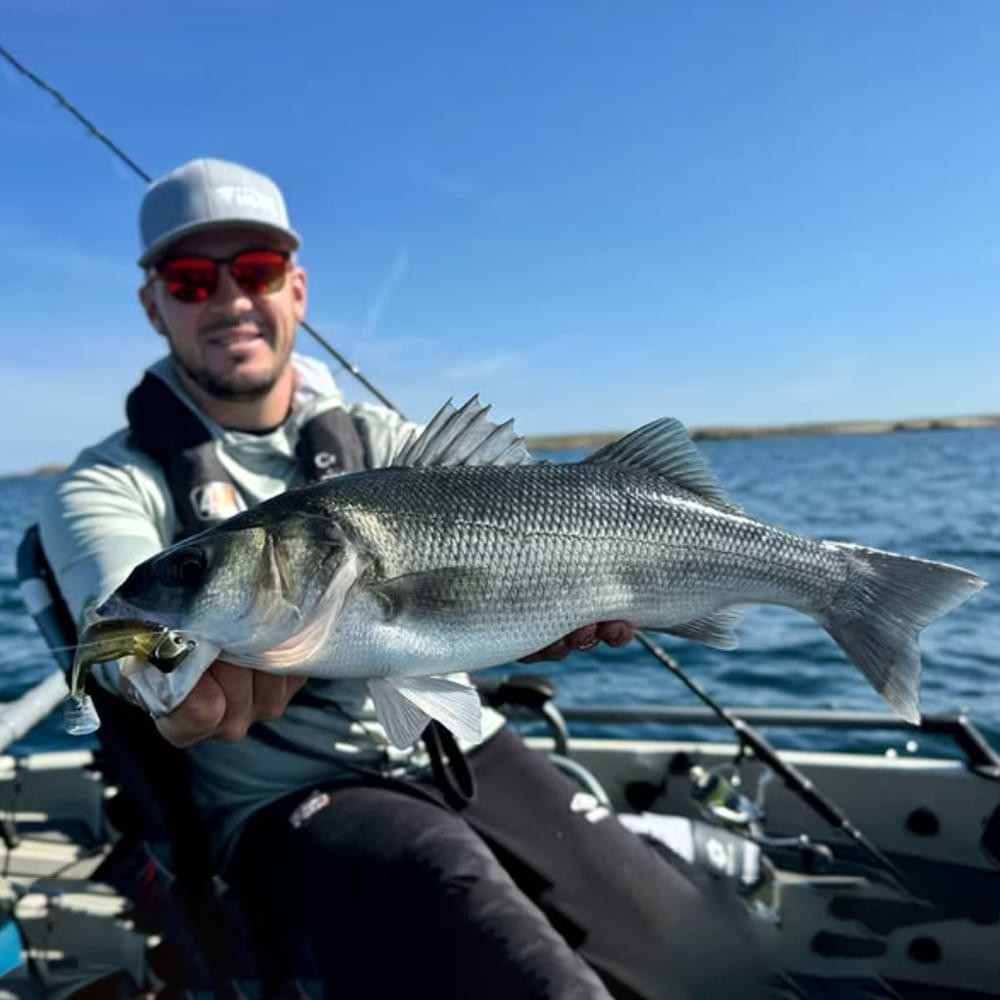 FIIISH Black Minnow No2.5 Combo Jig Head 26g - 2 Lure Bodies 10.5cm