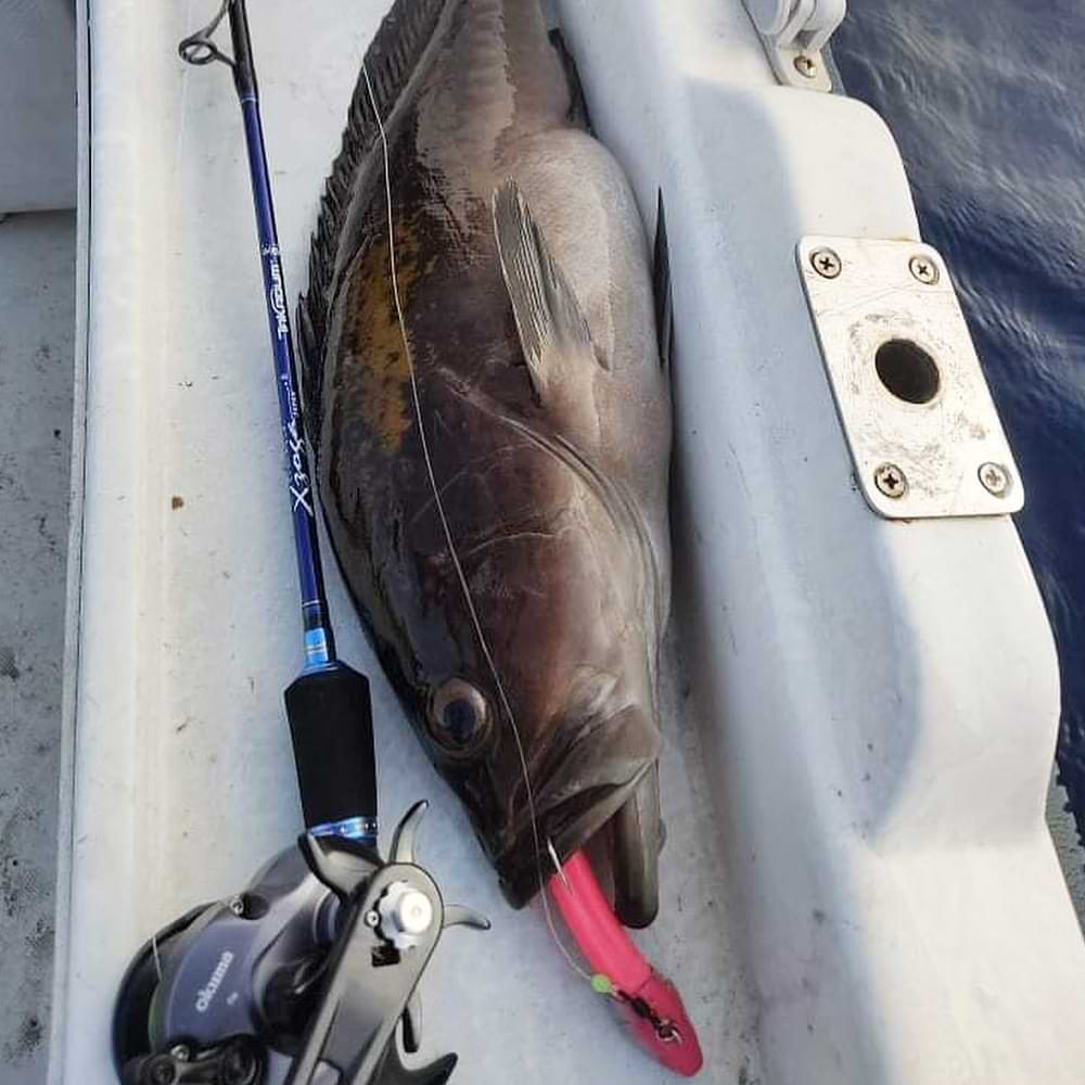 FIIISH Black Minnow No5