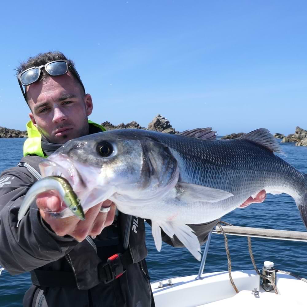 FIIISH Crazy Sand Eel 180 Double Combo - 18cm 55g