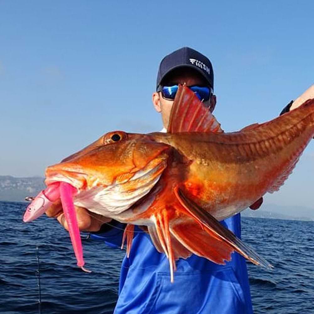 FIIISH Crazy Sand Eel No4 Combo - 30 cm 160g