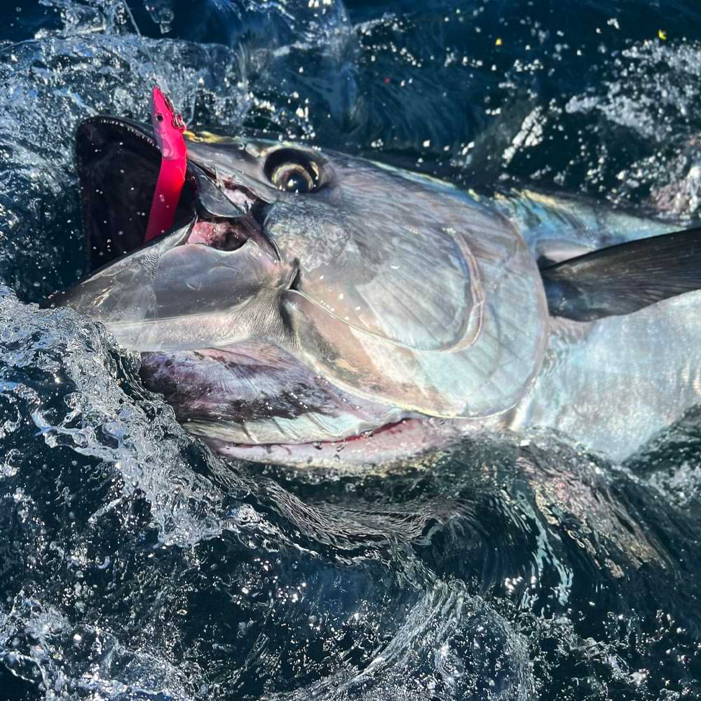 FIIISH Crazy Sand Eel No4 Combo - 30 cm 160g