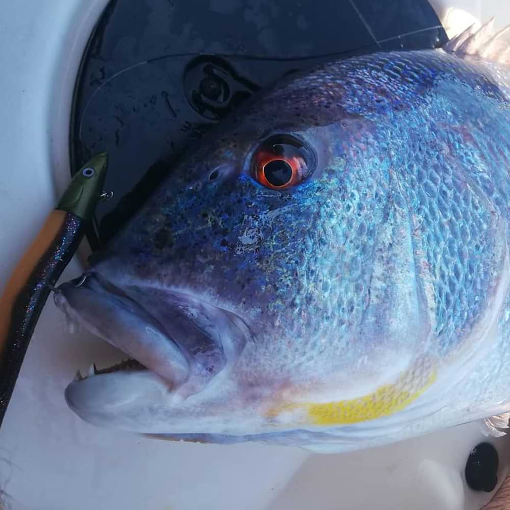 FIIISH Crazy Sand Eel 180 Double Combo - 18cm  35g - Kaki