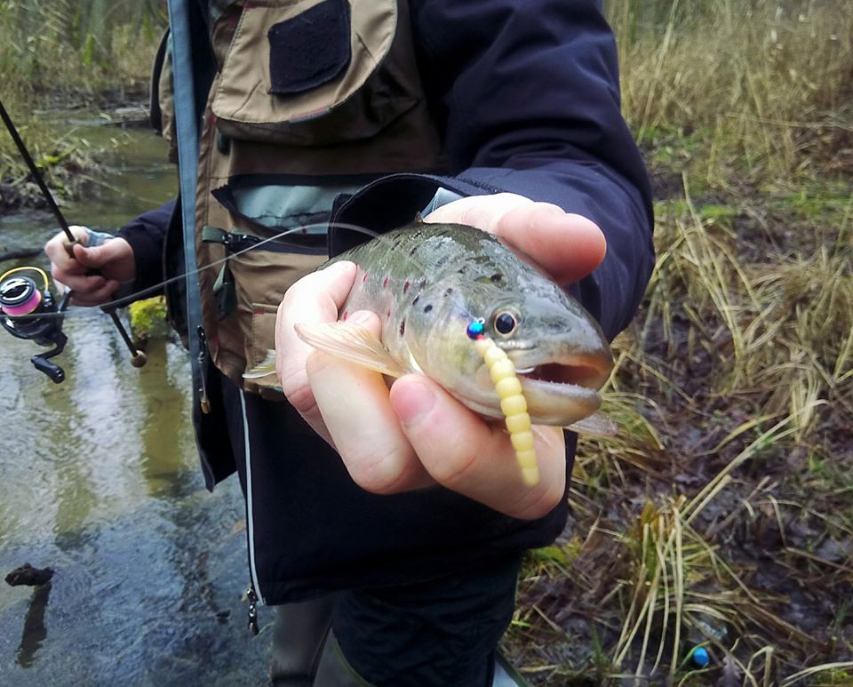 FISHUP Morio 1.2 inch