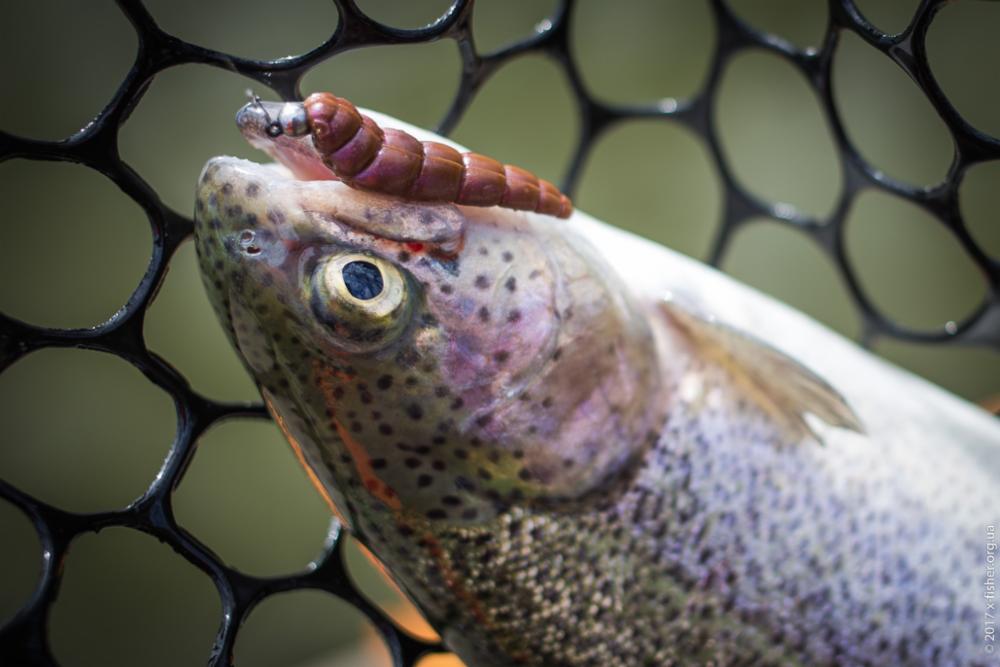 FISHUP Yochu 1.7 inch