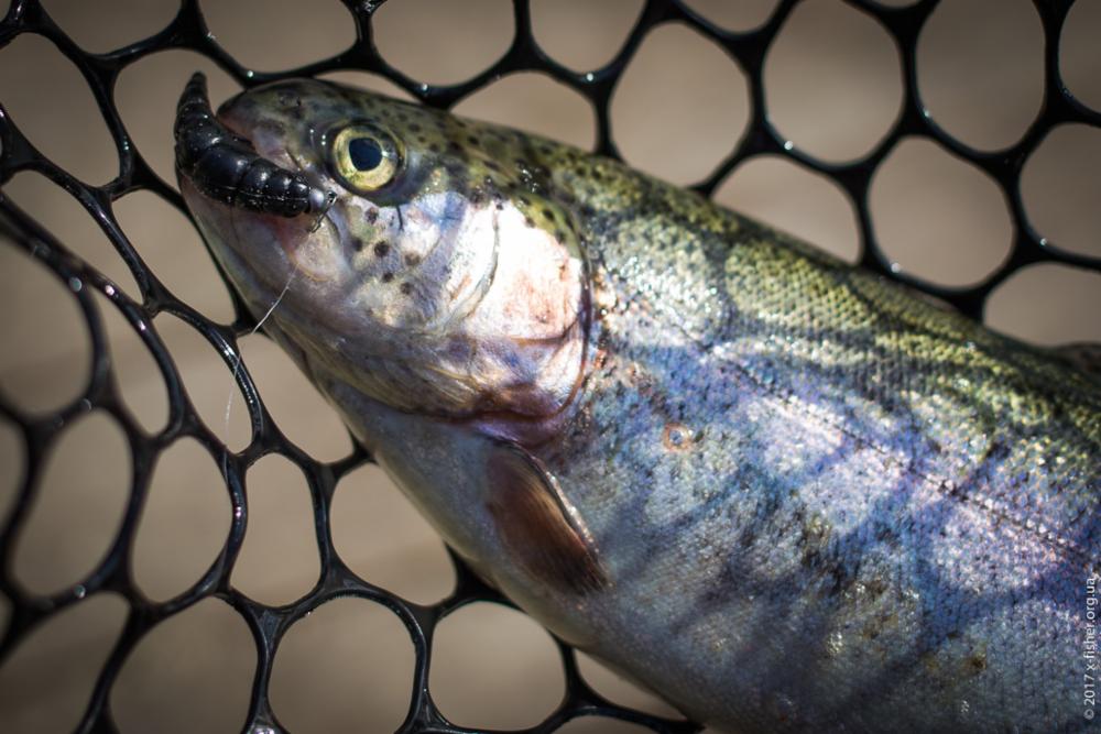 FISHUP Yochu 1.7 inch