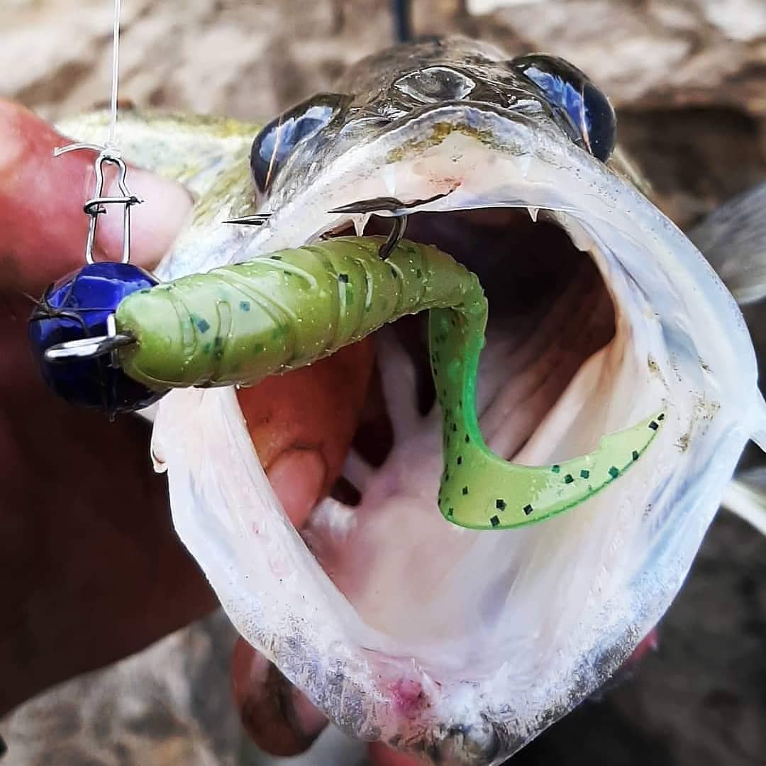 FISHUP Mighty Grub 4.5 inch