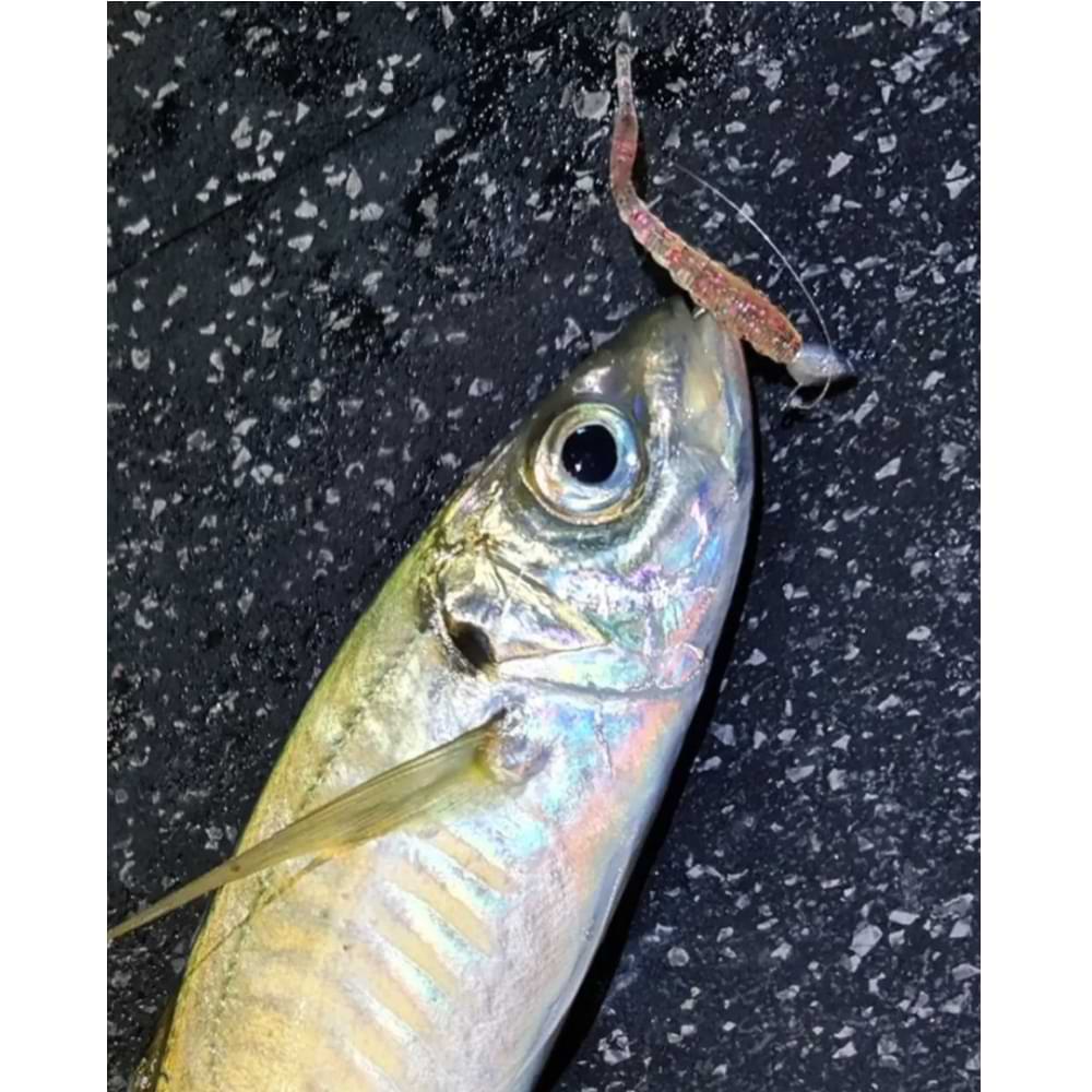 FISHUP Aji Scaly 2.3 inch