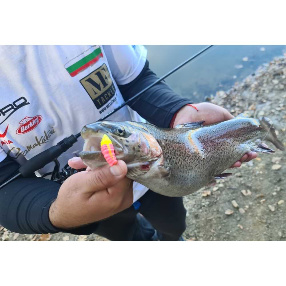 FISHUP Maya 1.4 inch Cheese Taste