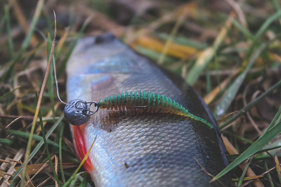 FISHUP Tanta 1.5 inch