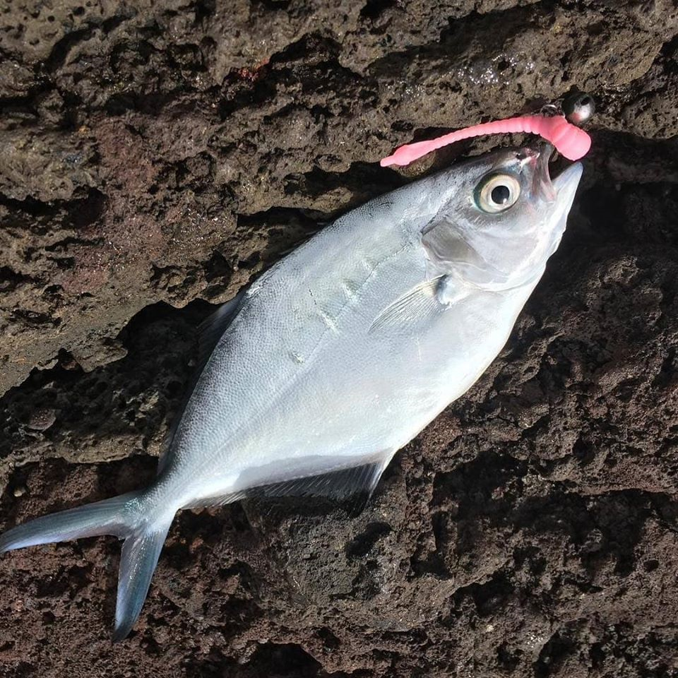 FISHUP ARW Worm 2 inch