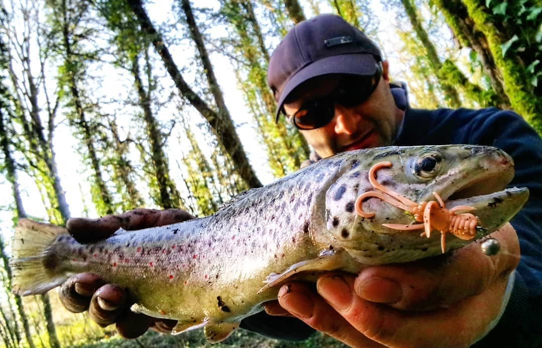 FISHUP Baffi Fly 1.5 inch