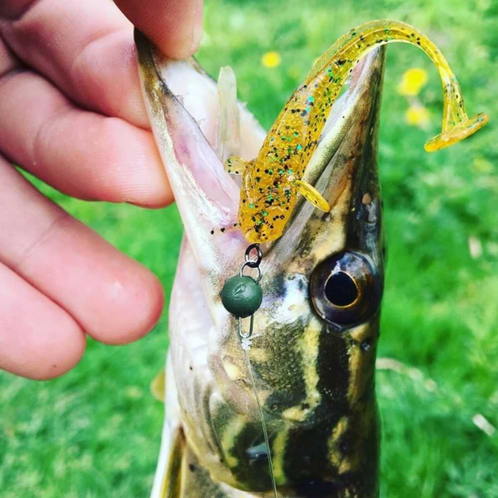 FISHUP Catfish 2 inch