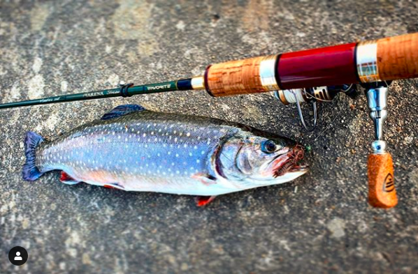 FISHUP Dragonfly 0.75 inch