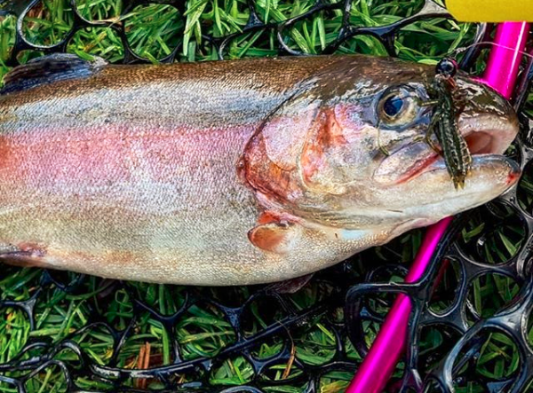 FISHUP Dragonfly 1.7 inch