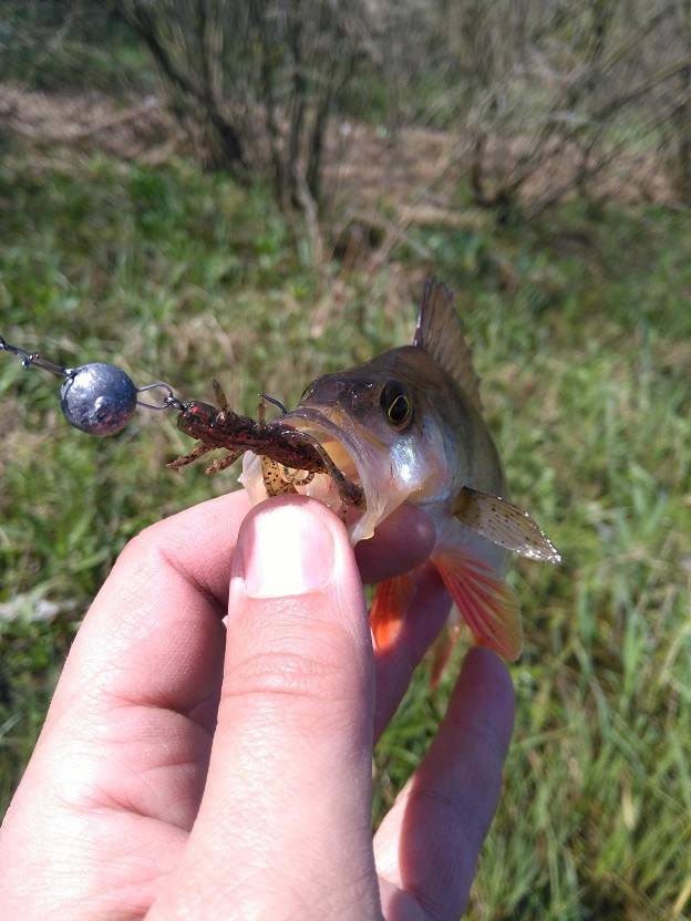 FISHUP Flit 1,5 inch