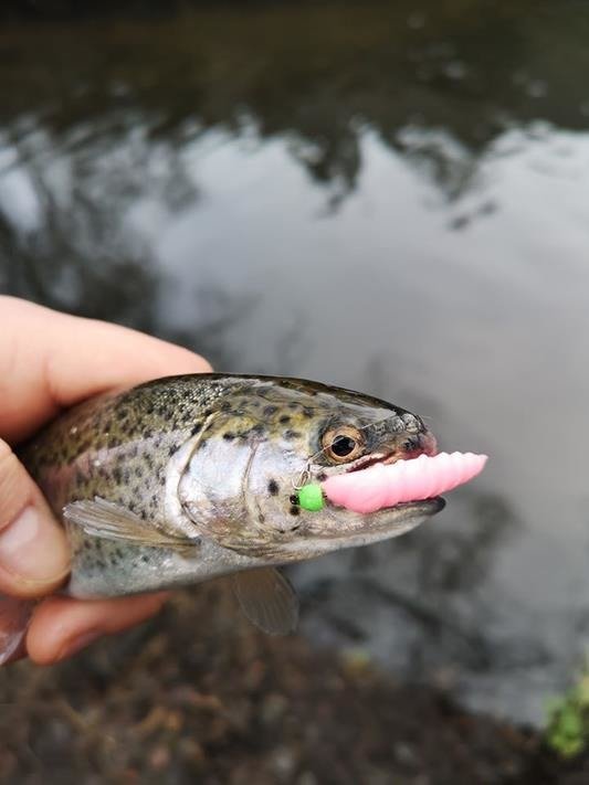 FISHUP Pupa 0.9 inch