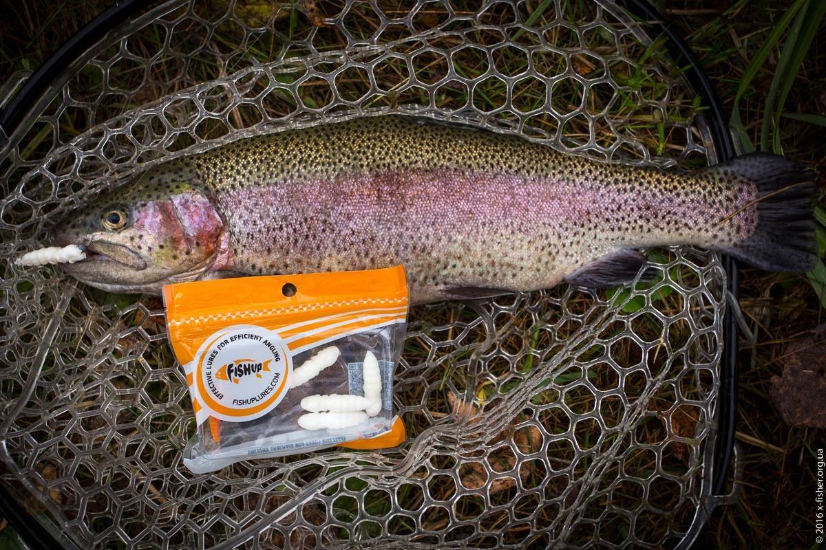 FISHUP Pupa 0.9 inch