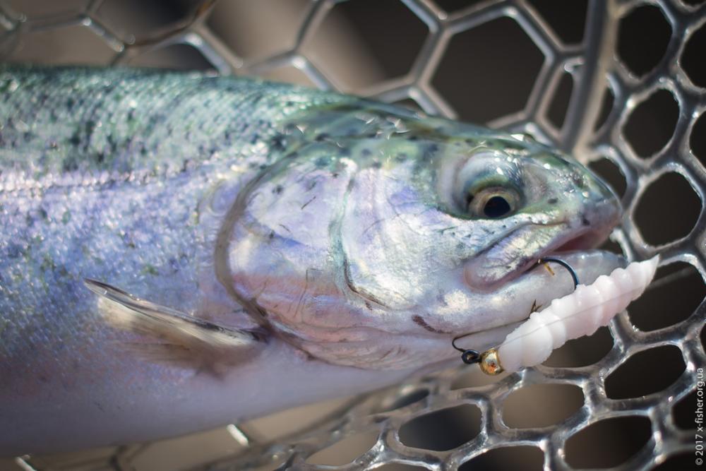 FISHUP Pupa 0.9 inch