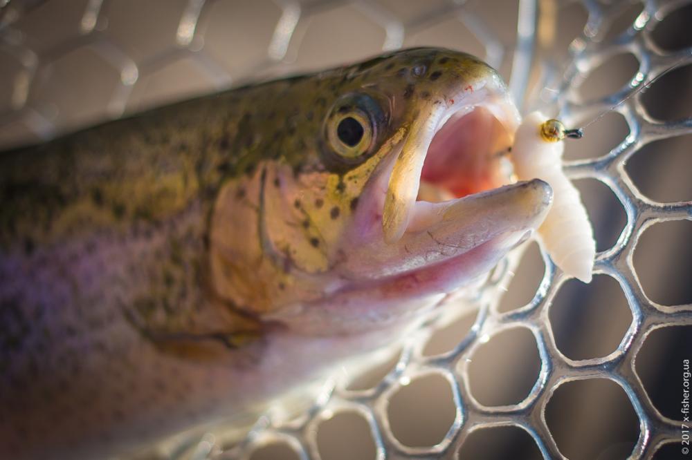 FISHUP Pupa 0.9 inch