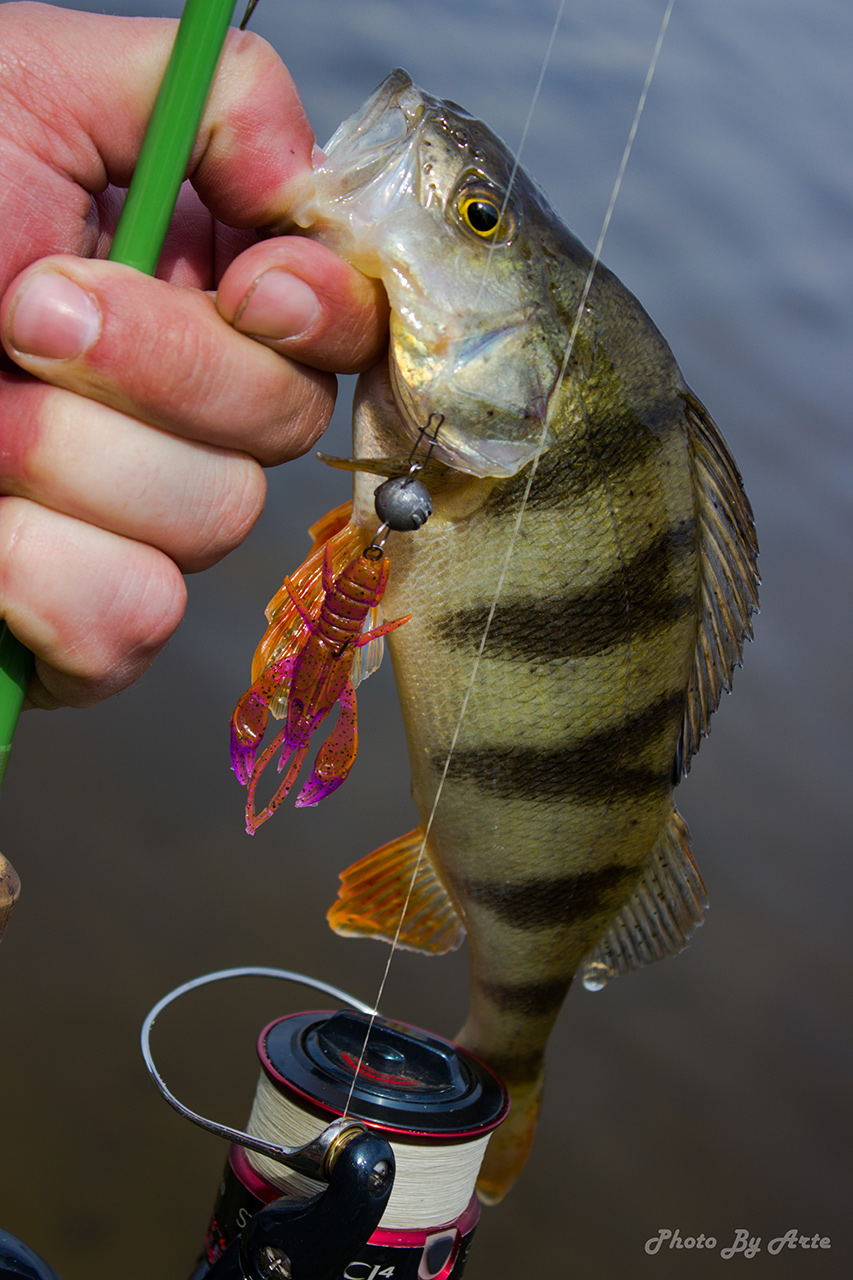 FISHUP Real Craw 2 inch