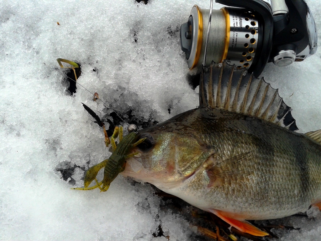 FISHUP Real Craw 2 inch