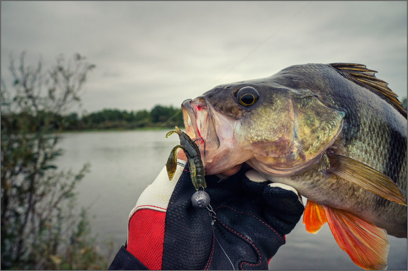 FISHUP Real Craw 2 inch
