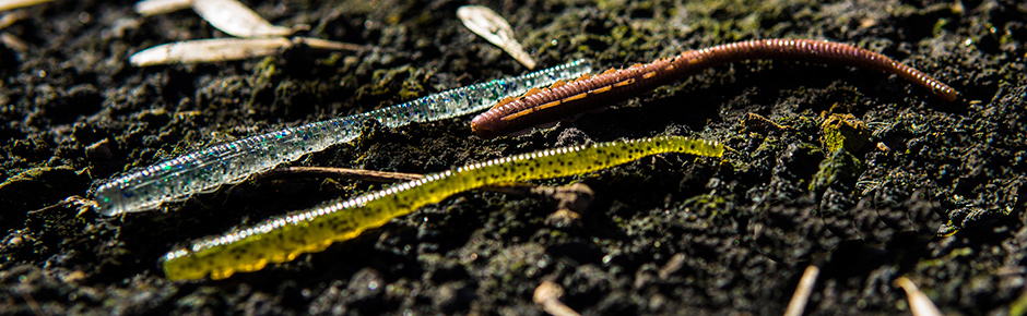 FISHUP Scaly 2.8 inch