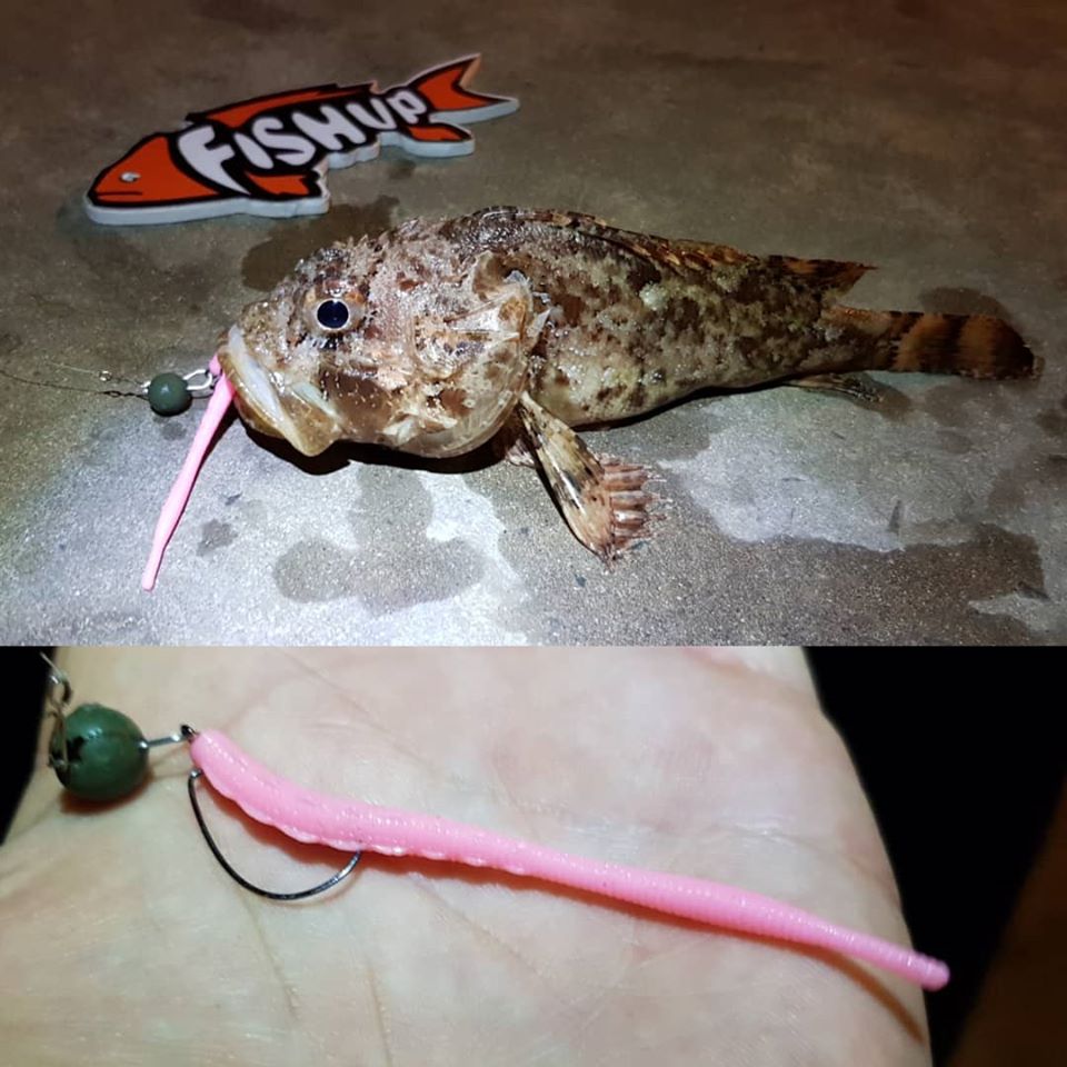 FISHUP Scaly 2.8 inch