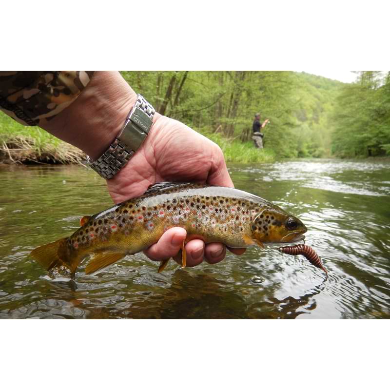 FISHUP Tanta 2 inch Cheese Taste