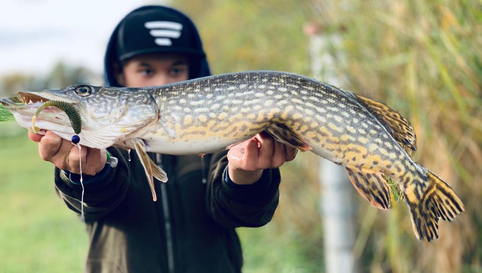 FISHUP U-Shad 4 inch