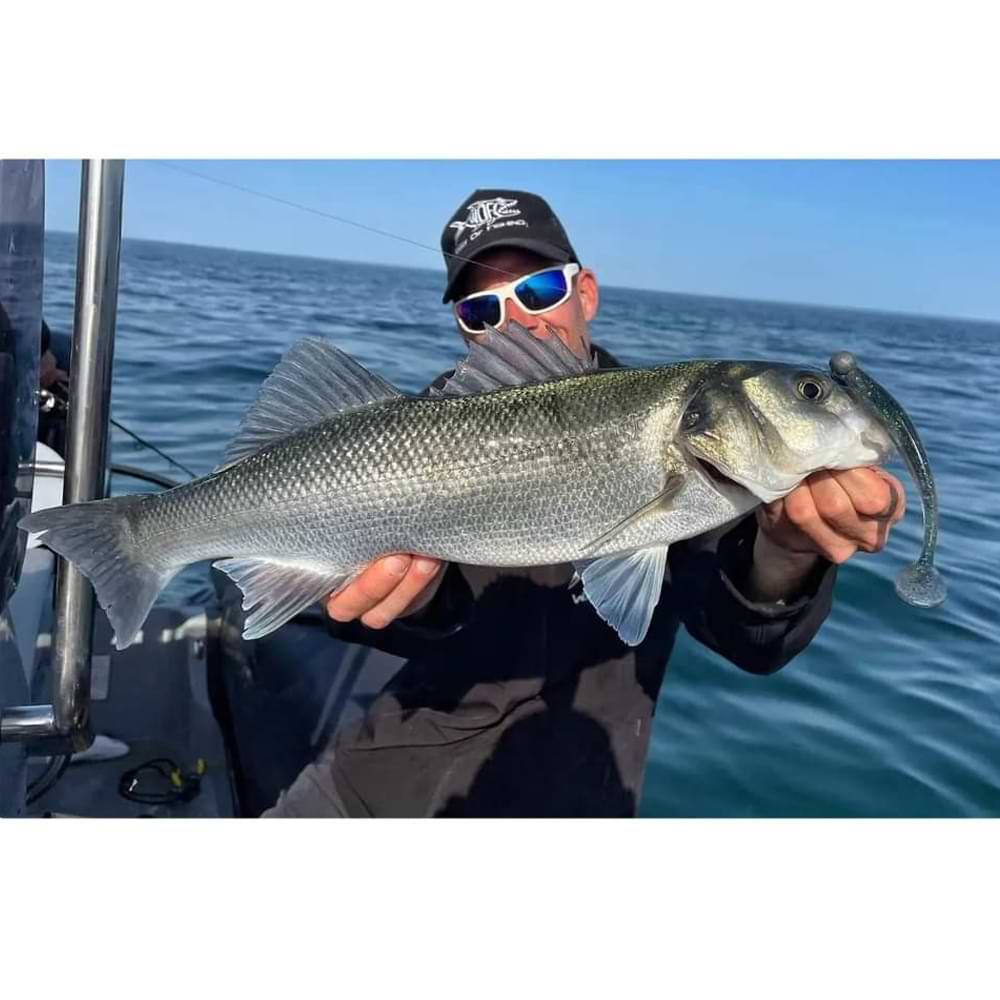 FISHUP Wizzle Shad 5 inch