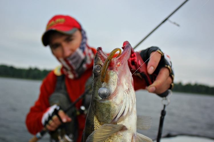 FISHUP Wizzle Shad 2 inch