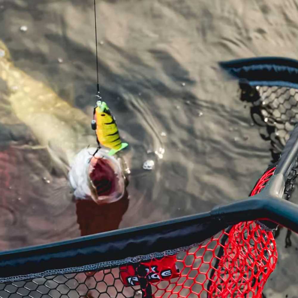 FOX RAGE Short Mag Net Small 45x35x40