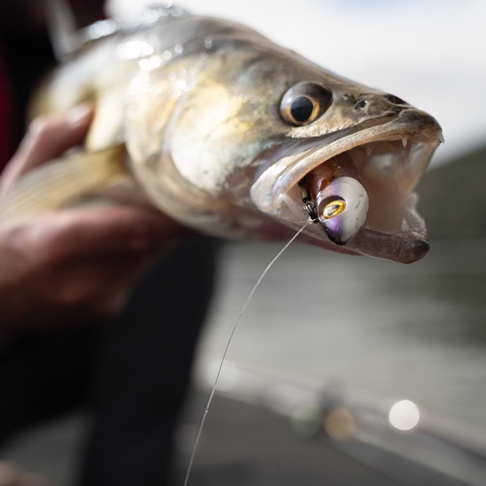 FOX RAGE Pelagic Slick Finesse 16cm 40g