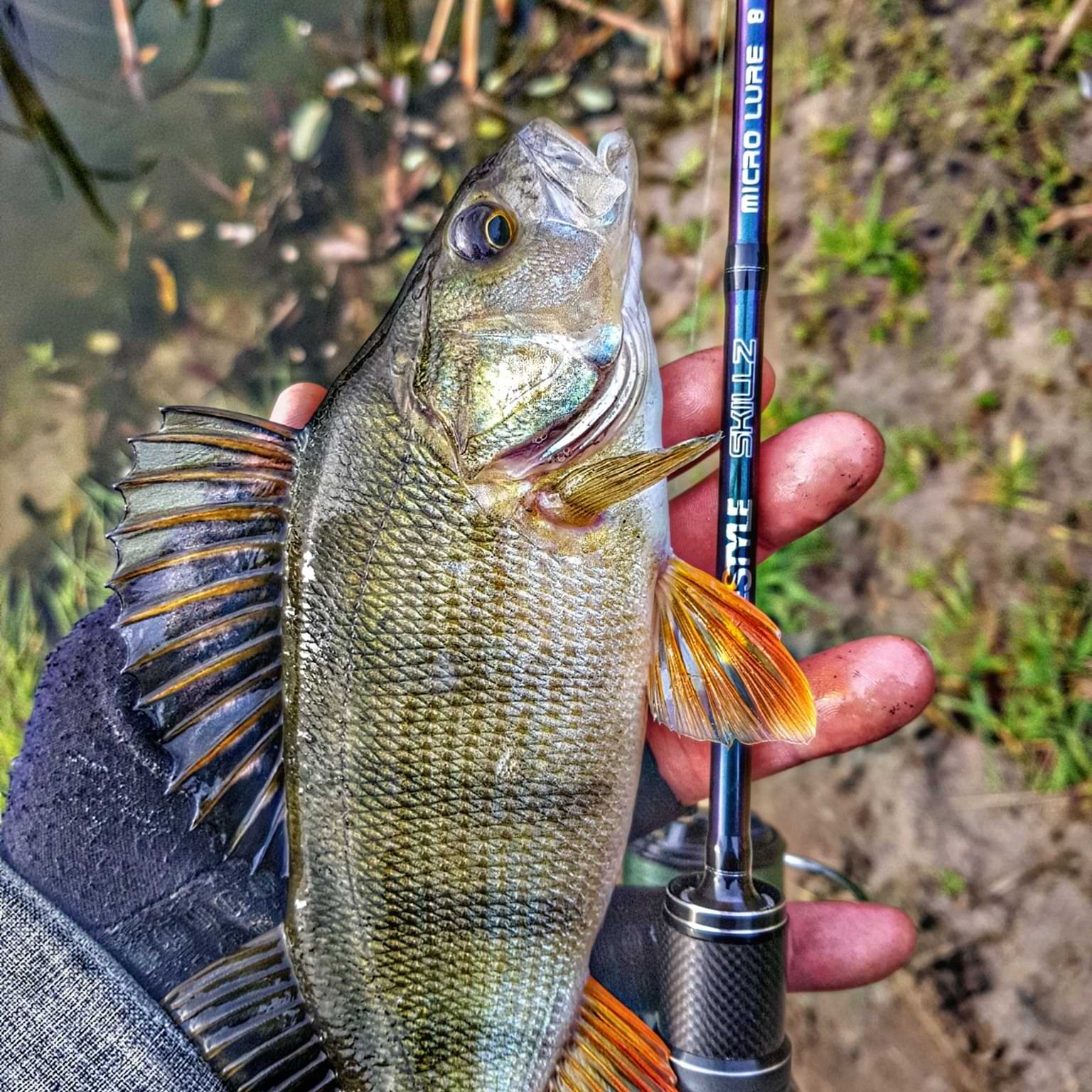 FREESTYLE Skillz V2 Micro Lure 210 1-8g