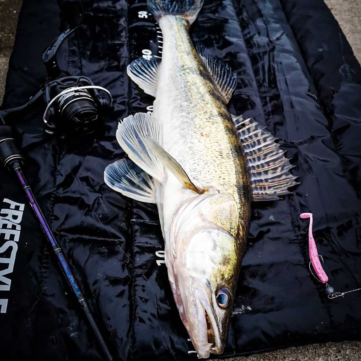 FREESTYLE Skillz V2 Versatile 240 5-21g