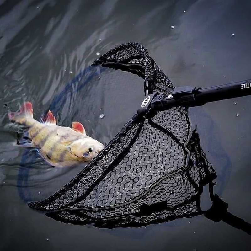 FREESTYLE Flick Net Tele 50 