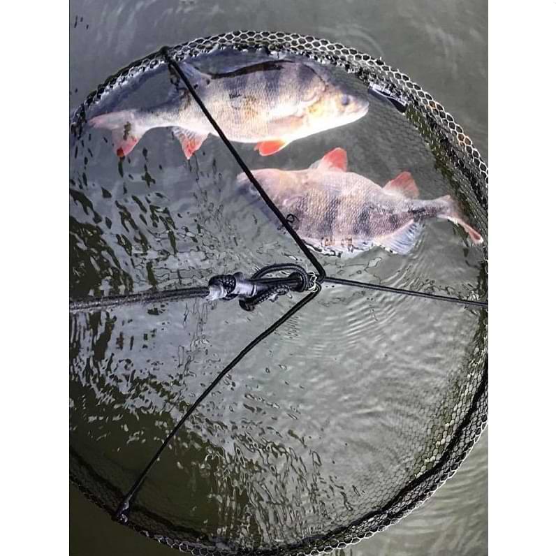 FREESTYLE Drop Net Xtra V2 60 см.