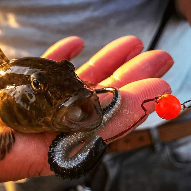 FREESTYLE Tungsten Bottom Jigs Natural/Gold