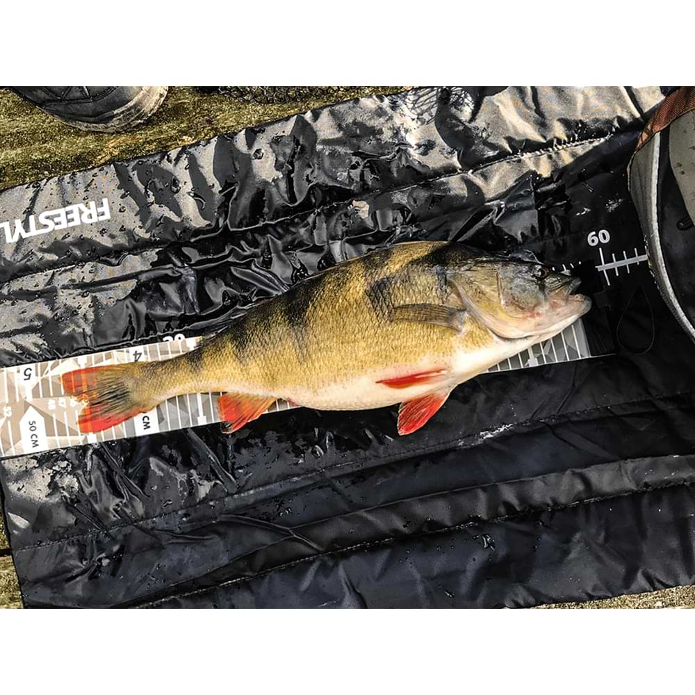 FREESTYLE Ruler - 120cm