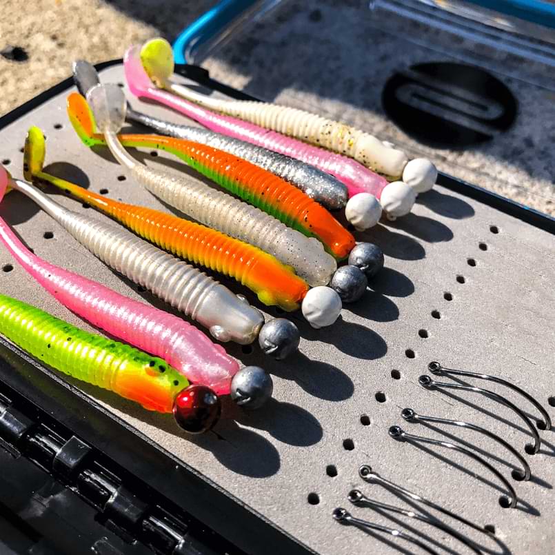 FREESTYLE Rigged  Box L