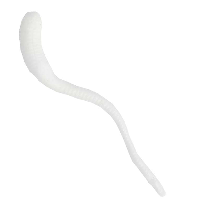 GIANNAZZO Sper Worm - 8cm