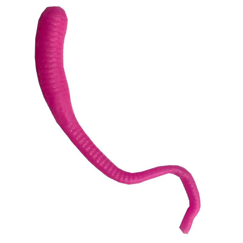 GIANNAZZO Sper Worm - 8cm