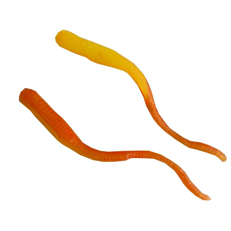 GIANNAZZO Sper Worm - 8cm